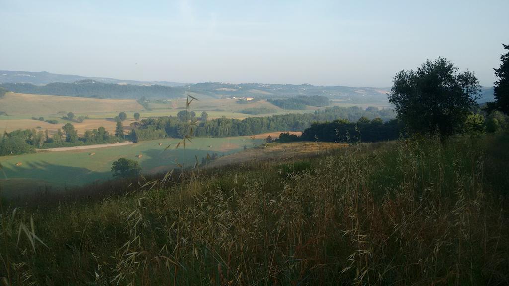 Agriturismo I Moricci Peccioli المظهر الخارجي الصورة