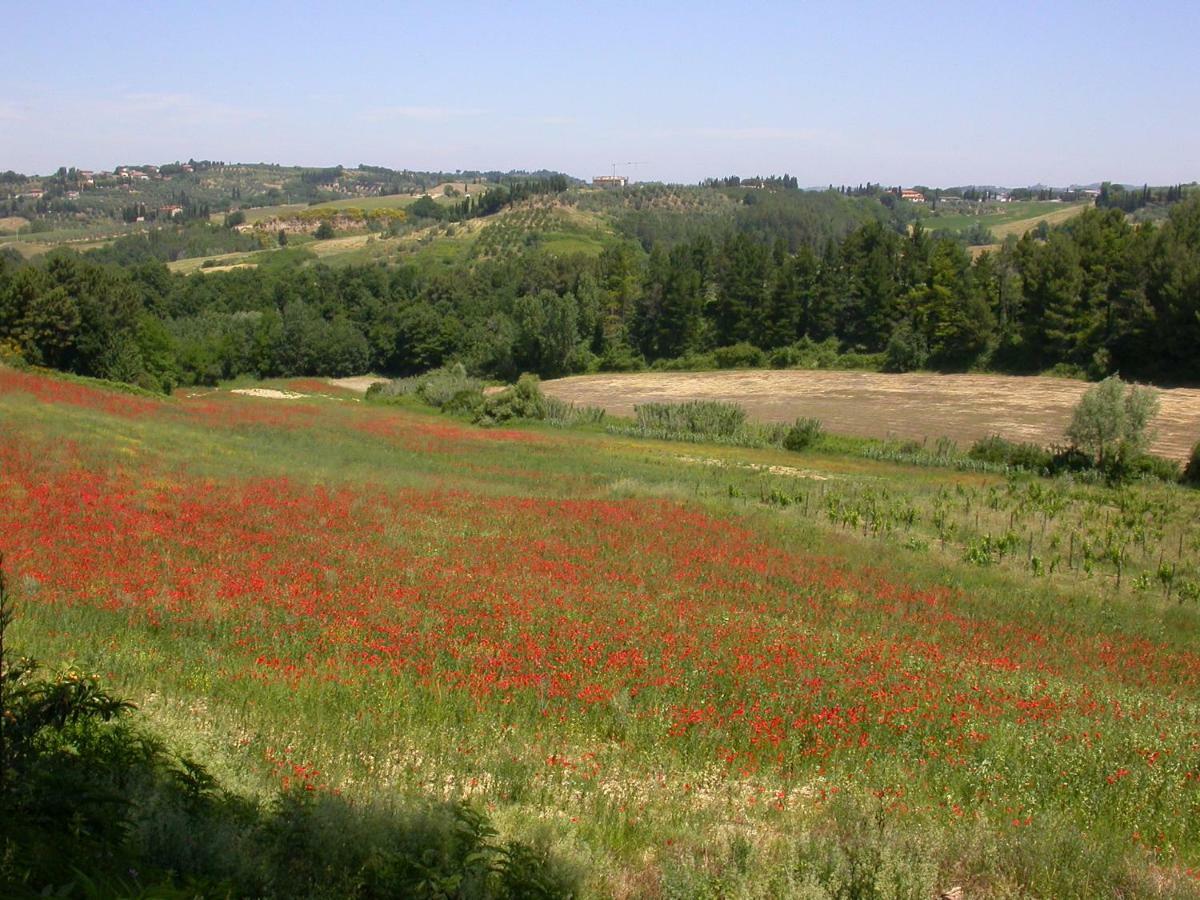 Agriturismo I Moricci Peccioli المظهر الخارجي الصورة